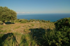 Cilento-adembenemend uitzicht op zee (3)