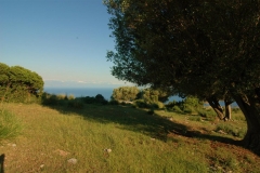 Cilento-eeuwenoude landbouwgronden (4)