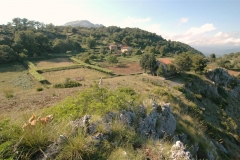 Cilento-eeuwenoude landbouwgronden