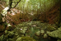 Cilento- schitternde, groene natuur (4)