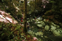 Cilento-wandelen door eeuwenoude bossen (2)