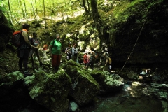 Cilento-wandelen door eeuwenoude bossen (3)