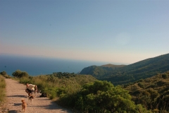 Cilento-wandelen in schitterende natuur (2)